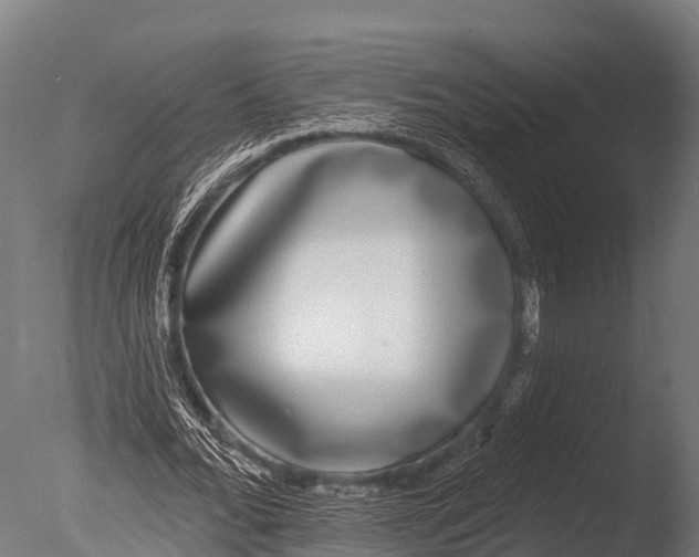 X0000085020676200704021428