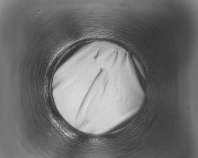 X0000085020680200704021428