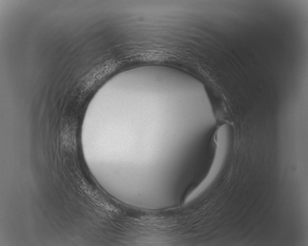 X0000085020681200704021428