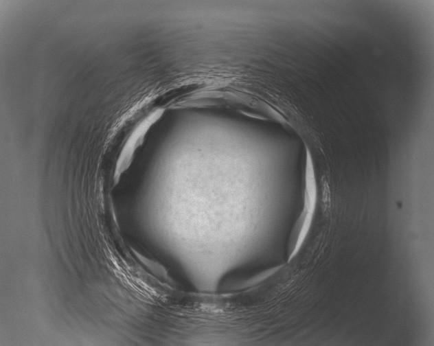 X0000085020684200704021428
