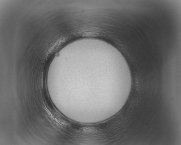 X0000085020686200704021428