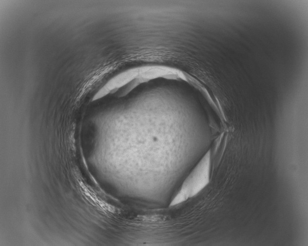 X0000085020688200704021428