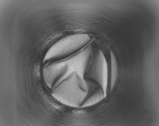 X0000085020689200704021428