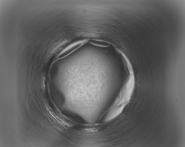 X0000085020692200704021427