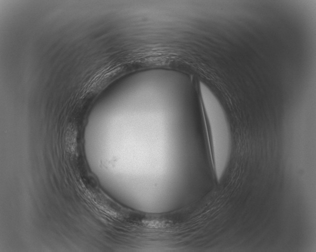 X0000085020693200704021427