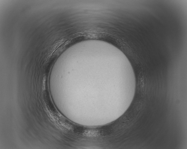 X0000085020694200704021427