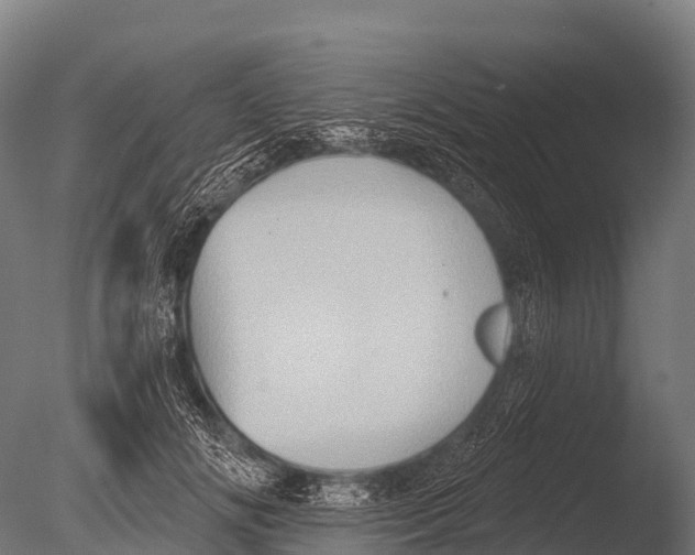 X0000085020702200704021427