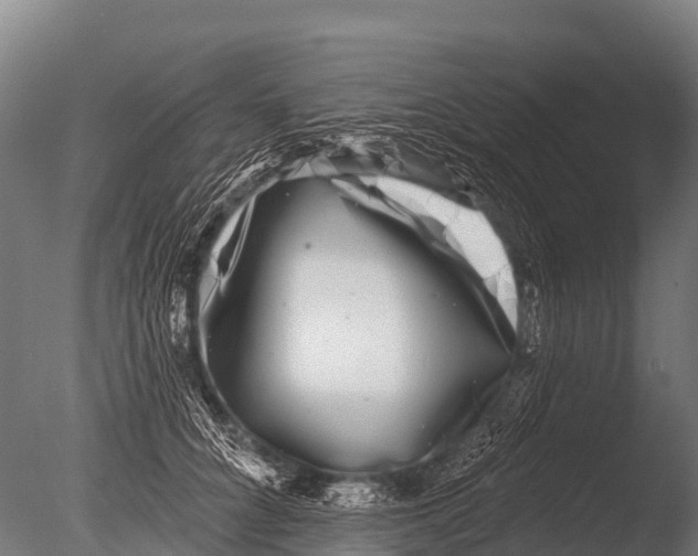 X0000085020704200704021427