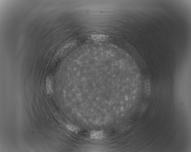 X0000085020705200704021427