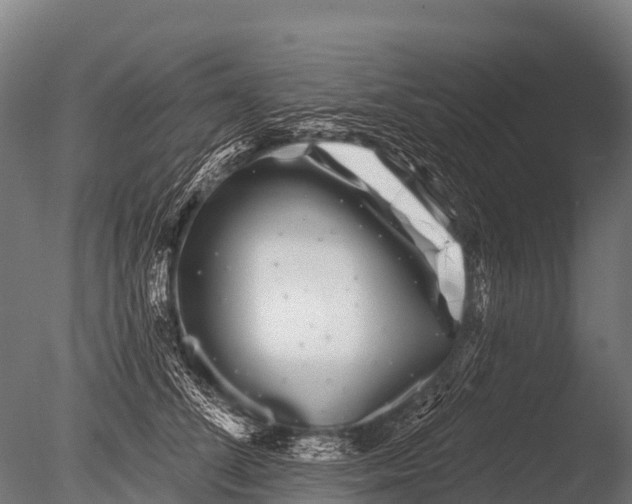 X0000085020708200704021427