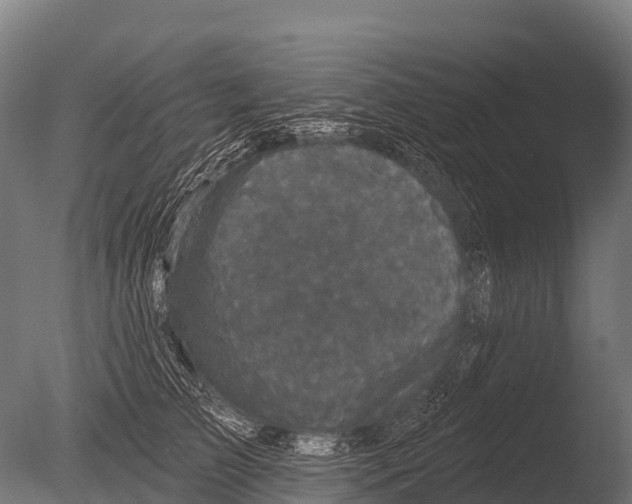 X0000085020709200704021427