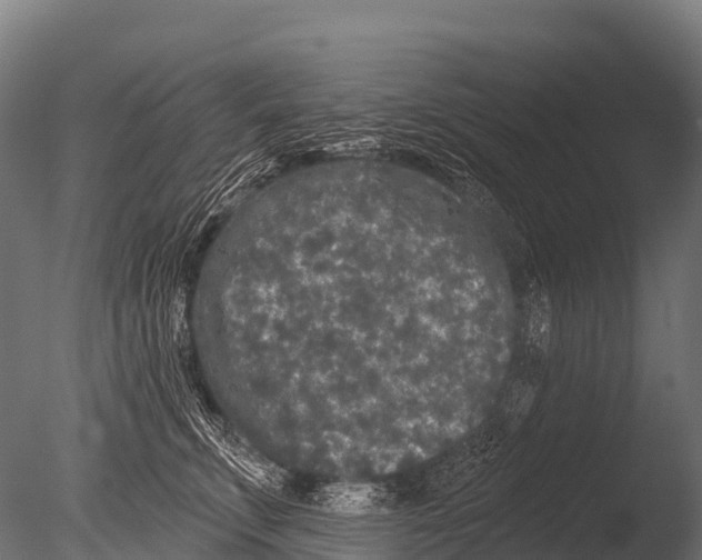 X0000085020711200704021427