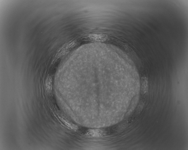 X0000085020713200704021427