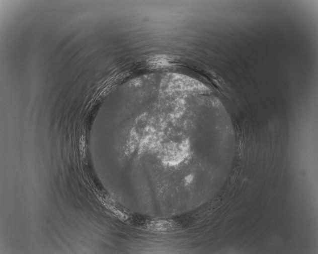 X0000085020716200704021427
