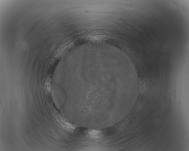 X0000085020718200704021427