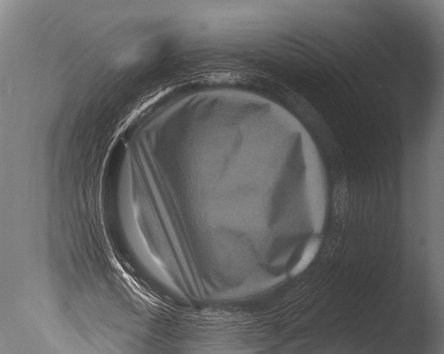 X0000085020722200704021426