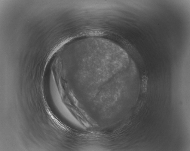 X0000085020726200704021426