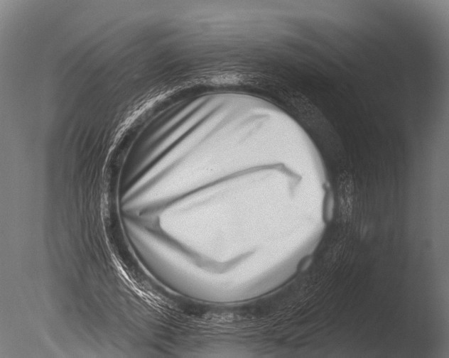 X0000085020728200704021426