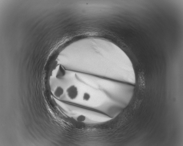X0000085020730200704021426