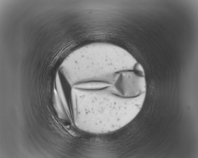 X0000085020739200704021426