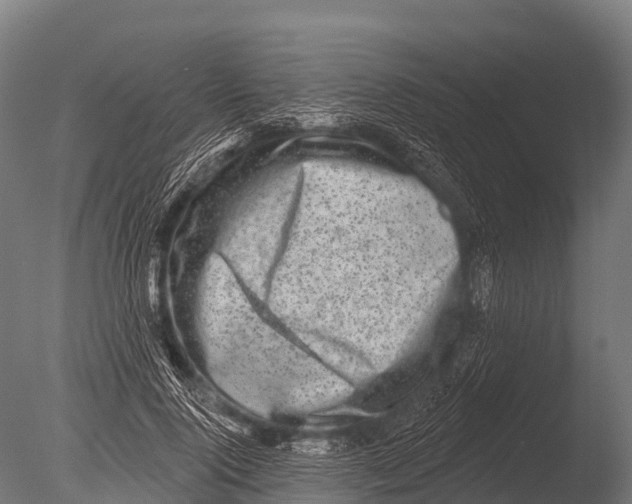 X0000085020740200704021426