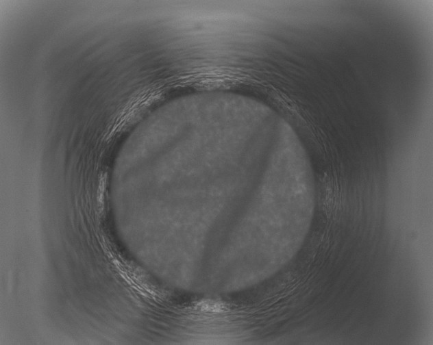 X0000085020742200704021427