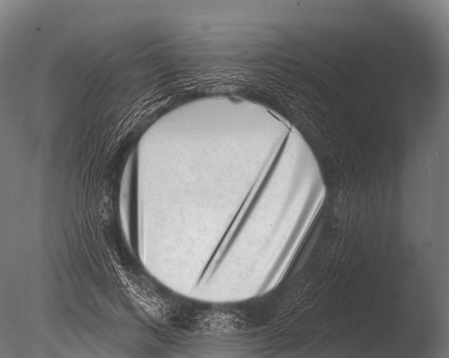X0000085020743200704021427