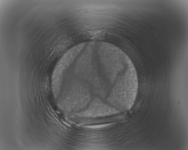 X0000085020748200704021427
