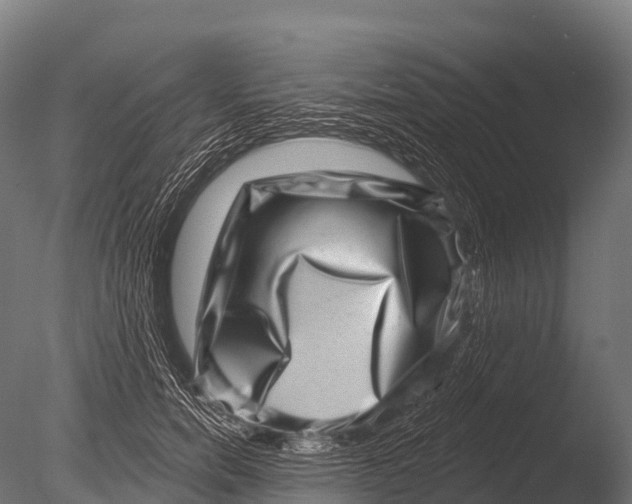 X0000085020750200704021427