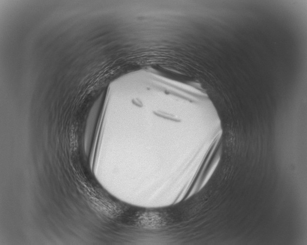 X0000085020751200704021427