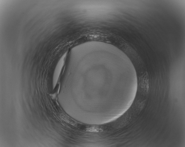 X0000085020754200704021427