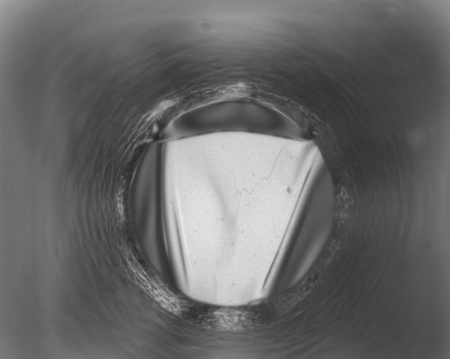 X0000085020762200704021427