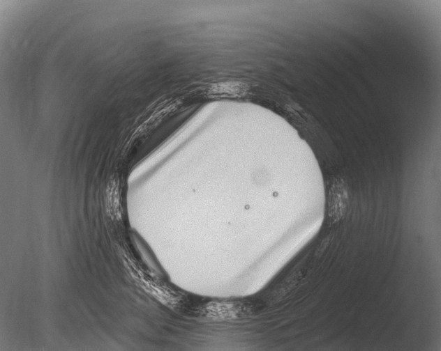 X0000085020764200704021427