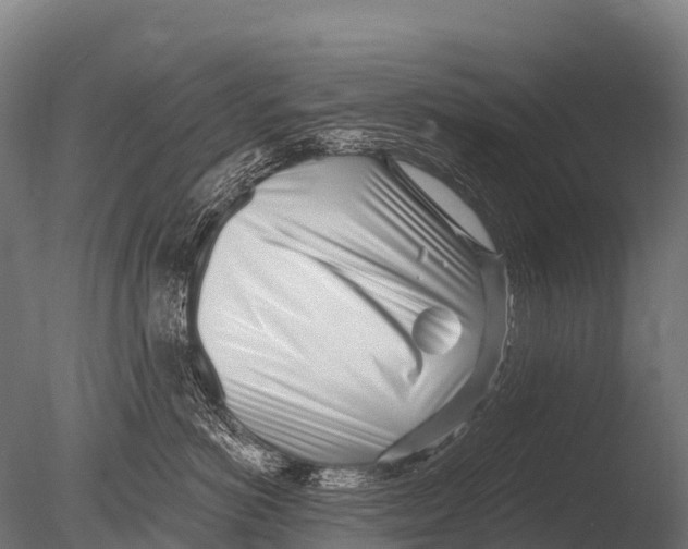 X0000085020766200704021427