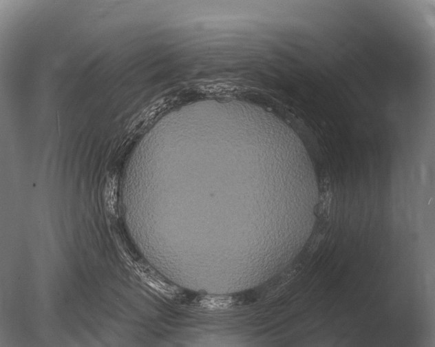 X0000085020767200704021427