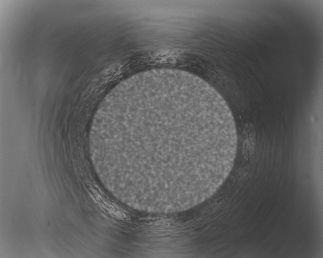 X0000085020769200704021426