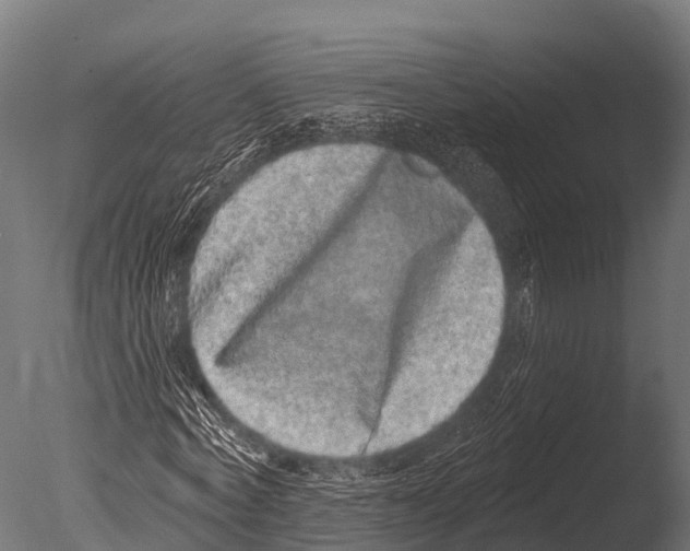 X0000085020772200704021426