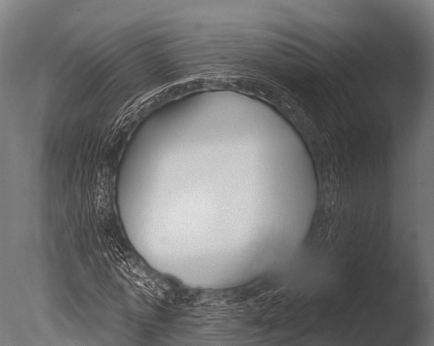 X0000085020773200704021426