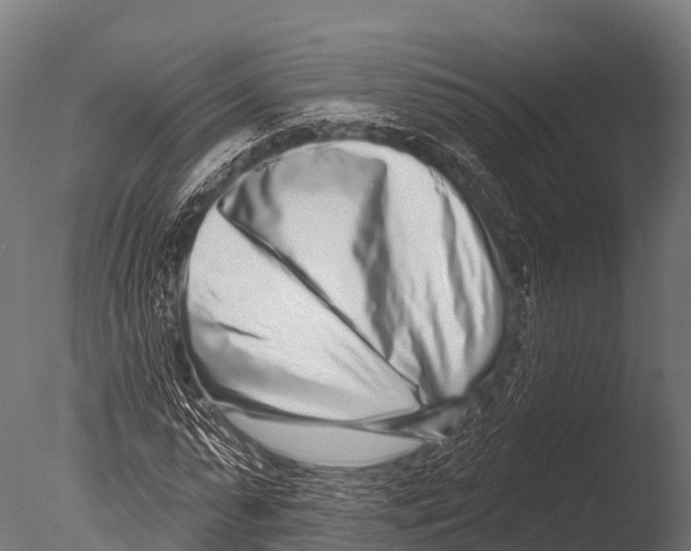 X0000085020775200704021426