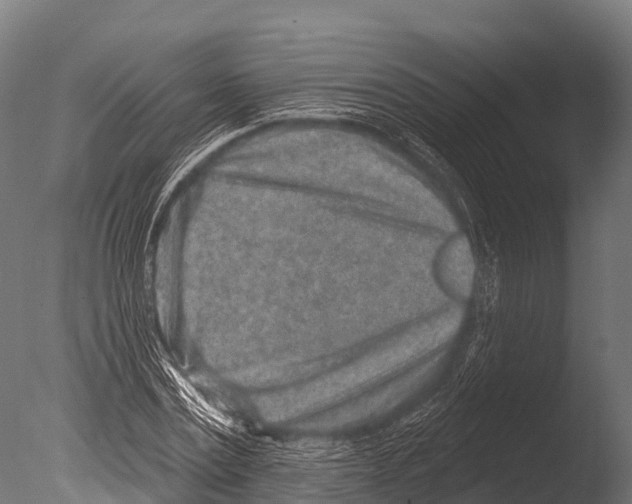 X0000085020779200704021426