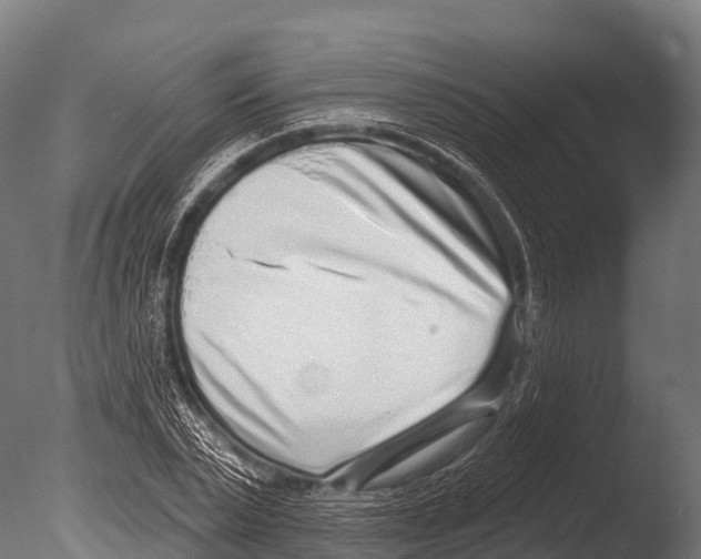 X0000085020783200704021426