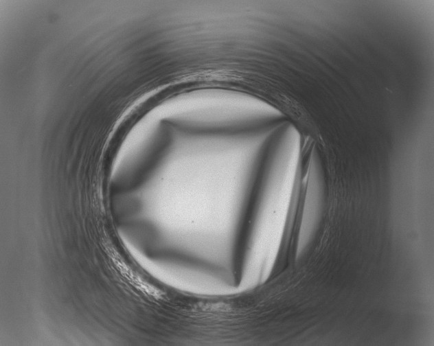 X0000085020784200704021426