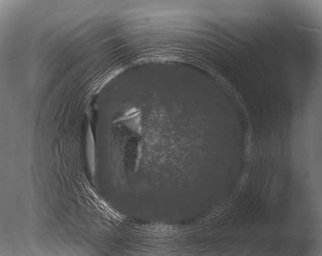 X0000085020785200704021426