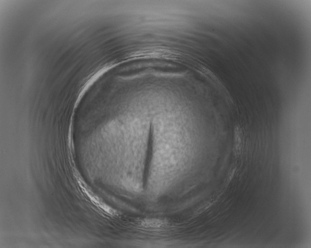X0000085020788200704021426