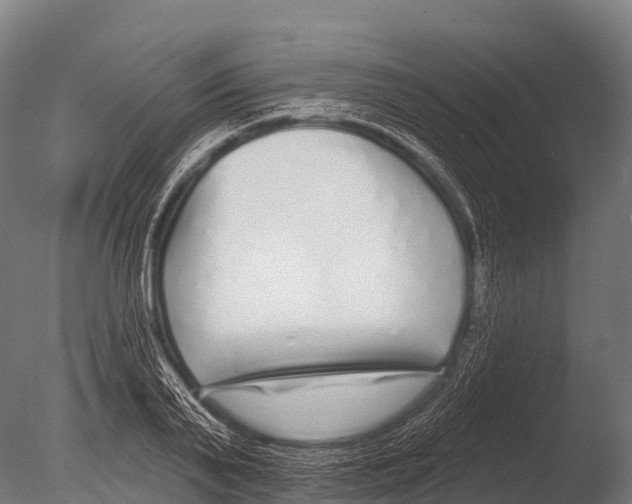 X0000085020791200704021426