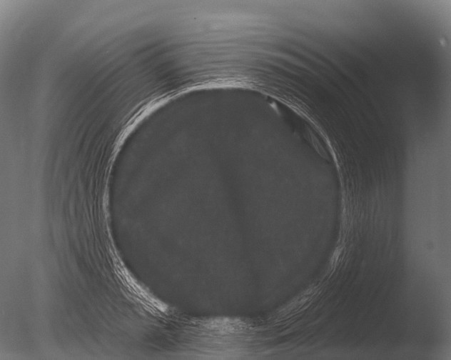 X0000085020797200704021426