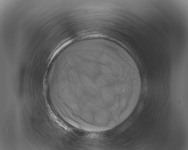 X0000085020806200704021426