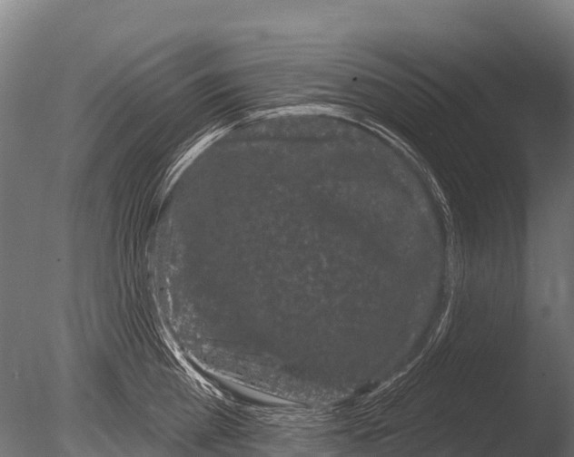X0000085020809200704021425
