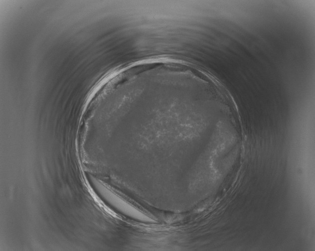 X0000085020813200704021425