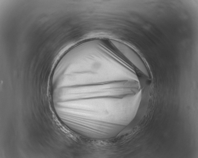 X0000085020815200704021425